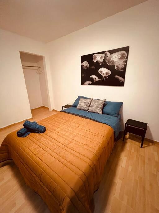 Depto Cas Visa I Reforma Diana Cazadora * Mexiko-Stadt