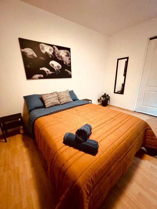 Depto Cas Visa I Reforma Diana Cazadora * Mexiko-Stadt
